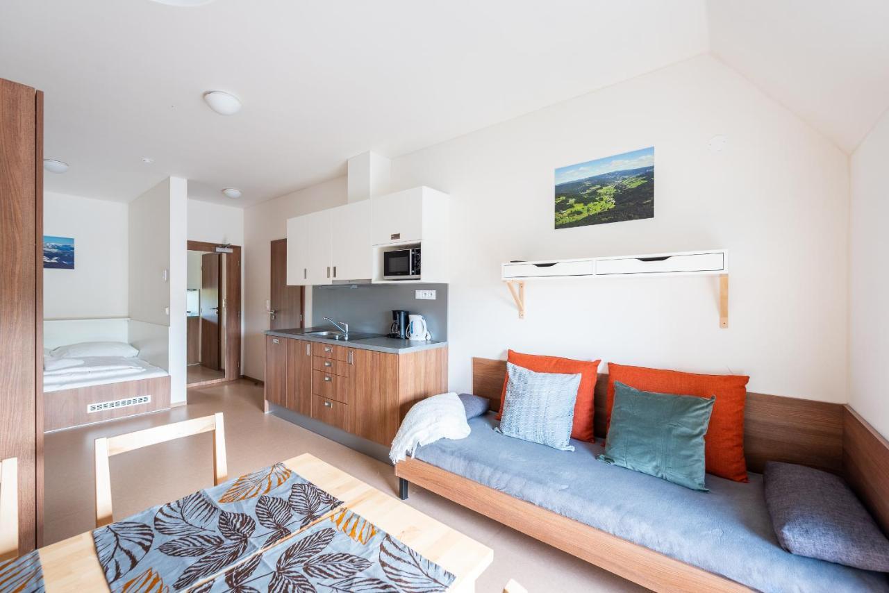 רוקיטניצה נאד איז'רו Apartmany Rokytka Snowhouse מראה חיצוני תמונה