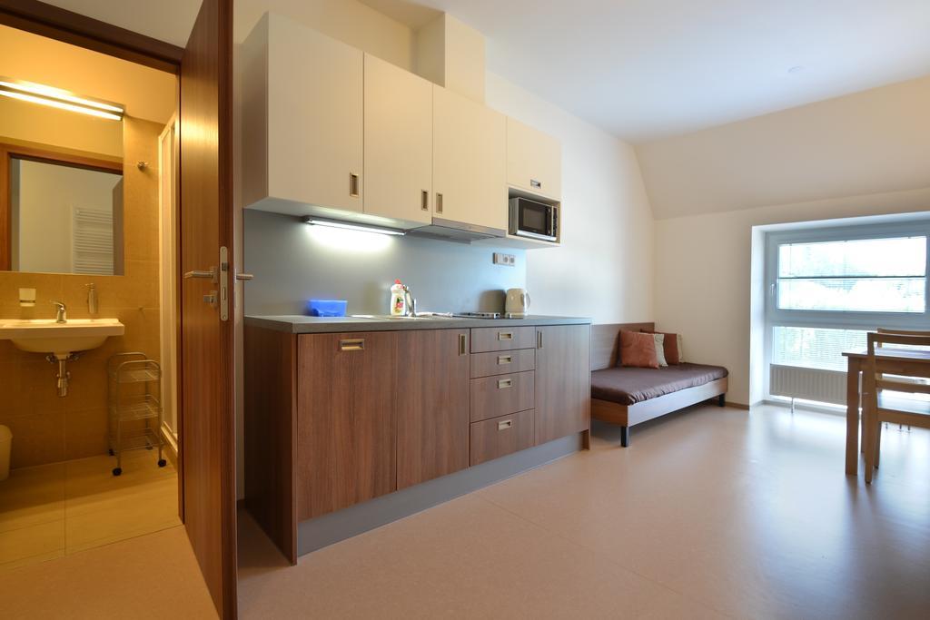 רוקיטניצה נאד איז'רו Apartmany Rokytka Snowhouse מראה חיצוני תמונה