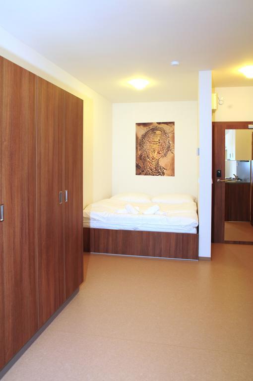 רוקיטניצה נאד איז'רו Apartmany Rokytka Snowhouse חדר תמונה